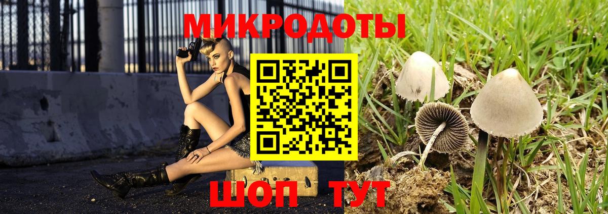 Галлюциногенные грибы мухоморы  Вход с VPN  Галлюциногенные грибы GOLDEN TEACHER  Хабаровск 