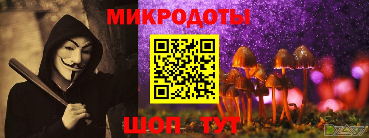 Галлюциногенные грибы GOLDEN TEACHER Хабаровск